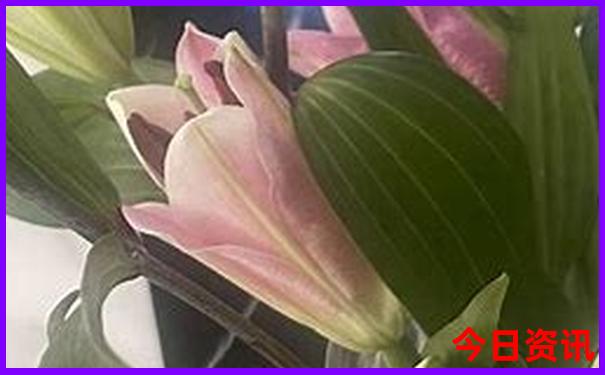 暑假带孩子去哪玩最好(国内)