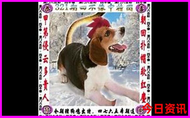 70岁以上老人游黄山线路